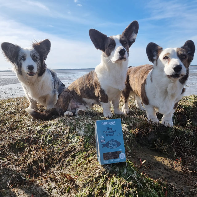 Naturea Hundanammi - Fiskur Semi-Moist 100g