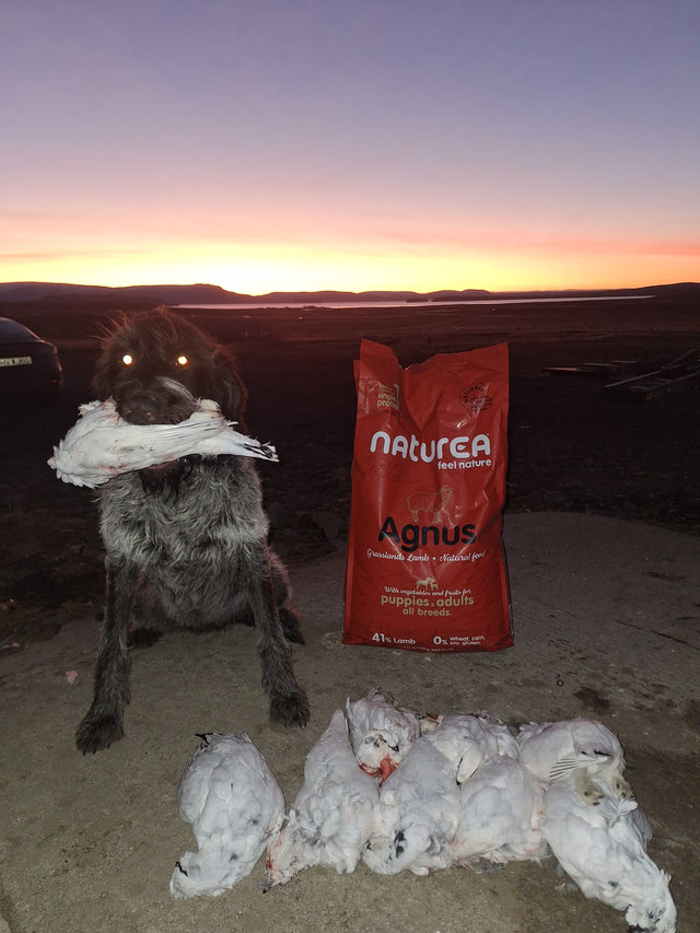 Naturals hundafóður - Agnus Grasslands Lamb