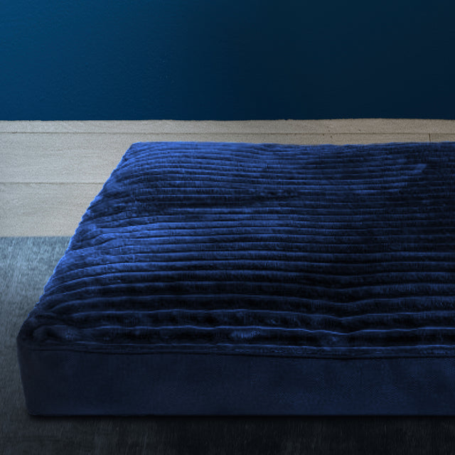 Forpöntun - Douce hundapulla - Douce línan