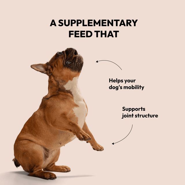 Sterkir liðir & bein - fæðubótarnammi