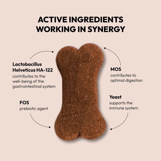 Góðgerlar fyrir hunda - Pre & Probiotic