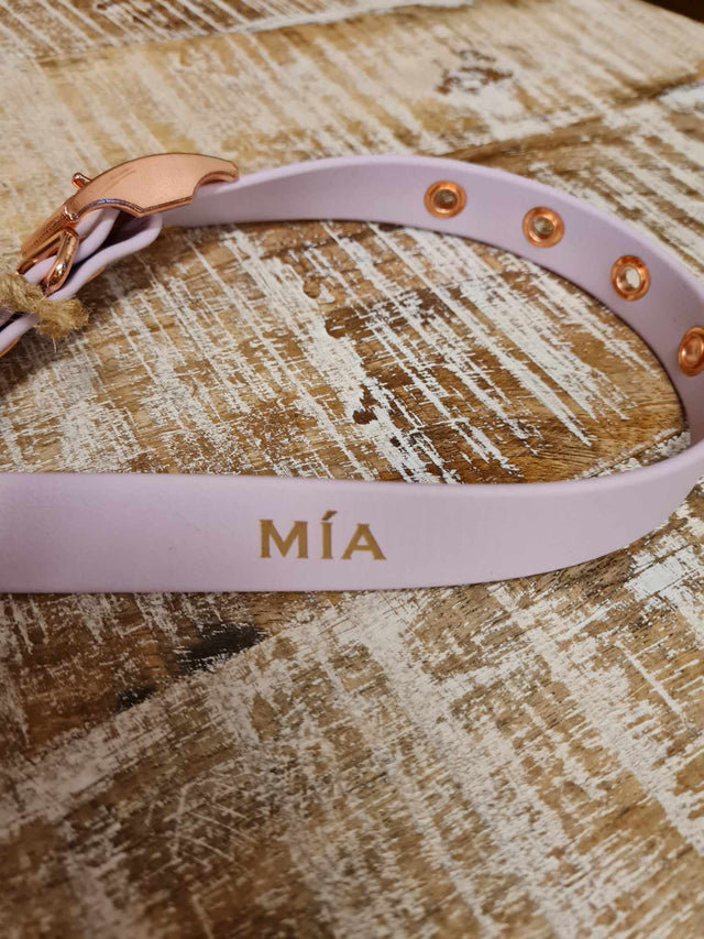 VioletVogue hundaól