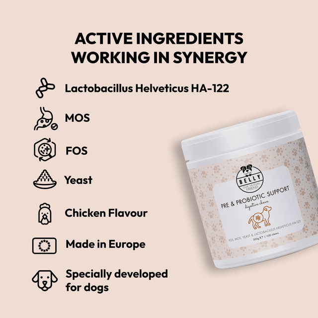 Góðgerlar fyrir hunda - Pre & Probiotic