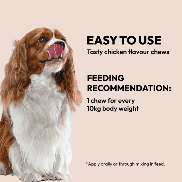 Sterkir liðir & bein - fæðubótarnammi