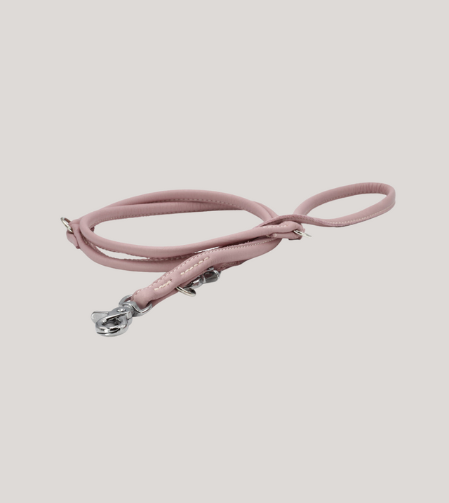 Glæsilegur AMICI taumur