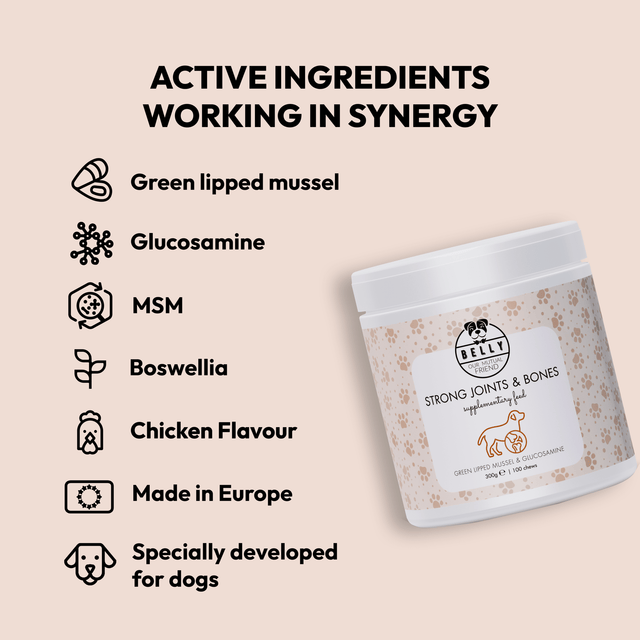 Sterkir liðir & bein - fæðubótarnammi