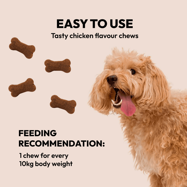 Góðgerlar fyrir hunda - Pre & Probiotic