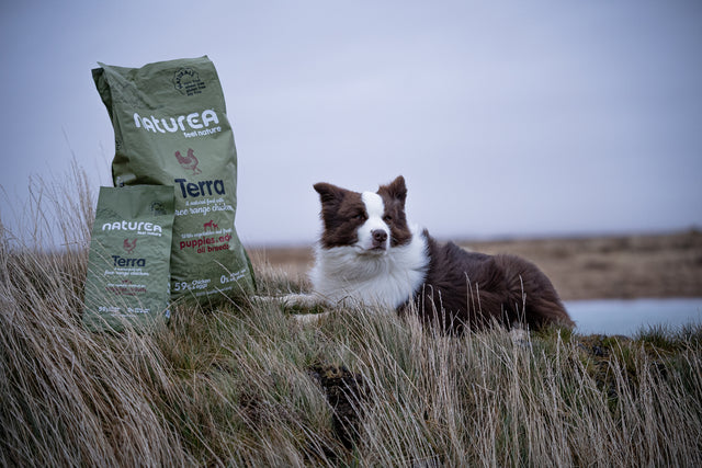 Naturals hundafóður - Terra Free Range Chicken