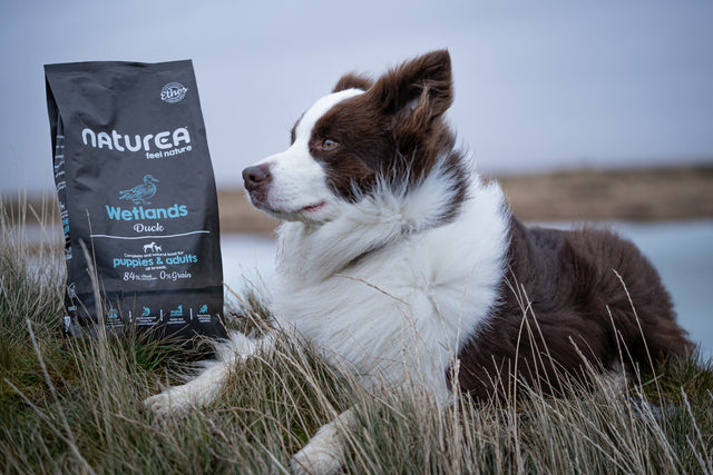 Ethos Wetlands Hundafóður Free Range Duck