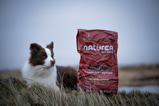 Naturals hundafóður - Agnus Grasslands Lamb