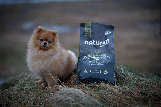 Ethos Regional Hundafóður Free Range Chicken Small Breed