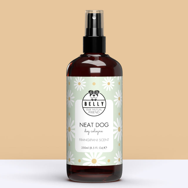 Frangipani hundailmur