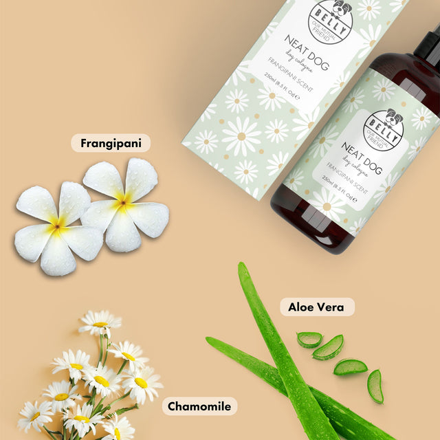 Frangipani hundailmur