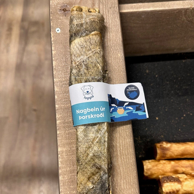 Loppa - Nagbein úr þorskroði (stök bein)