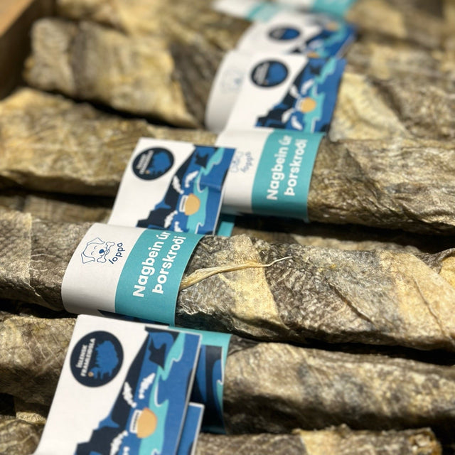 Loppa - Nagbein úr þorskroði (stök bein)