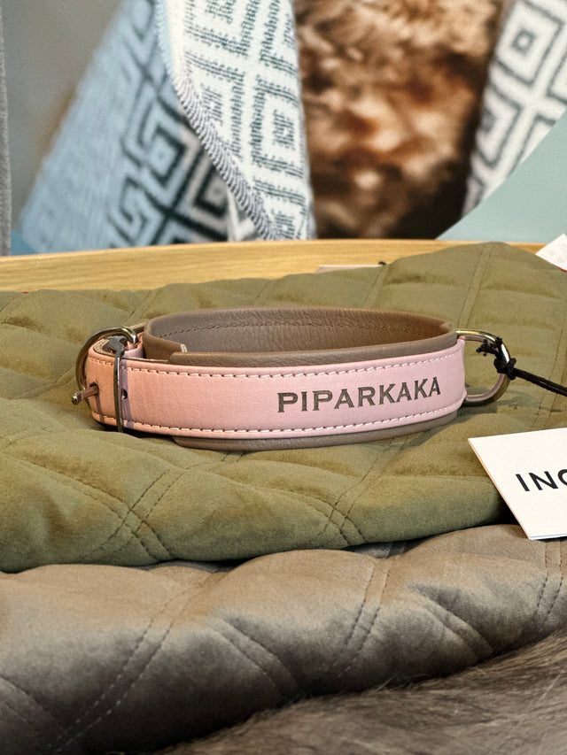 AMICI Ól - Stílhrein ól fyrir hunda