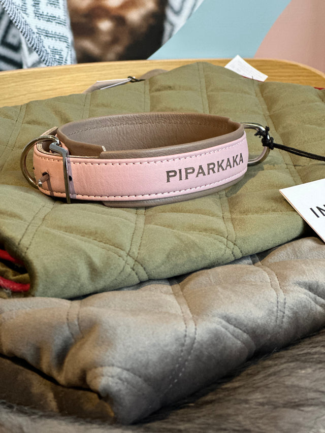 AMICI Ól - Stílhrein ól fyrir hunda