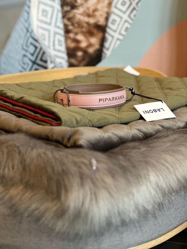 AMICI Ól - Stílhrein ól fyrir hunda