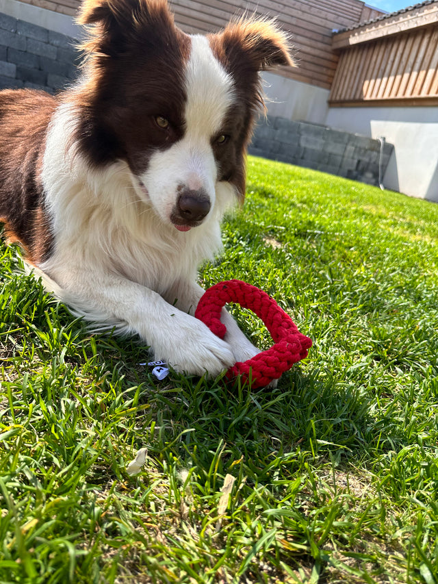 Herdís hjarta - Leikfang fyrir hunda - Velu