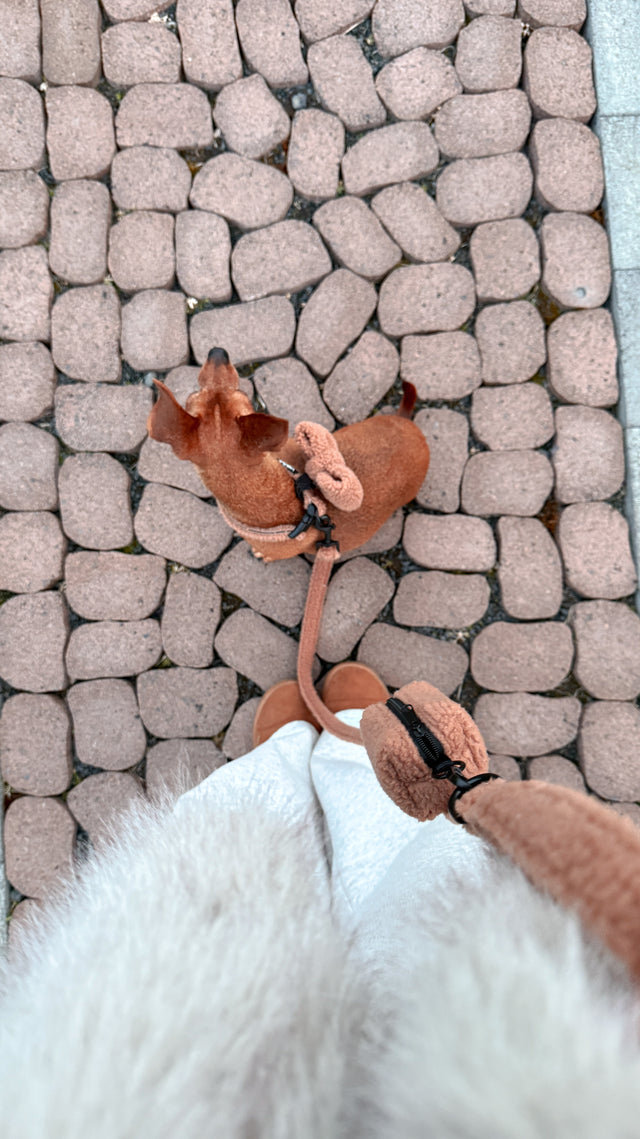 Bangsa kúkapokahaldari