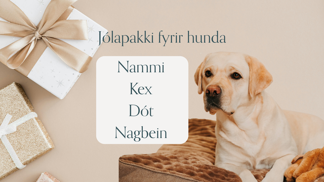Jólapakki fyrir hunda - Tilbúinn undir tréð