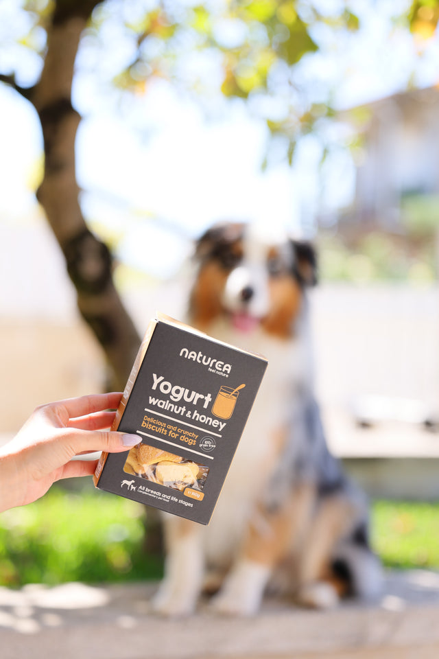 Naturea Hundakex - valhneta & hunang 140gr