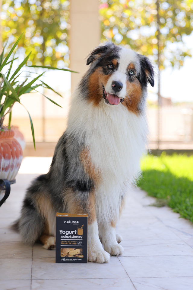 Naturea Hundakex - valhneta & hunang 140gr