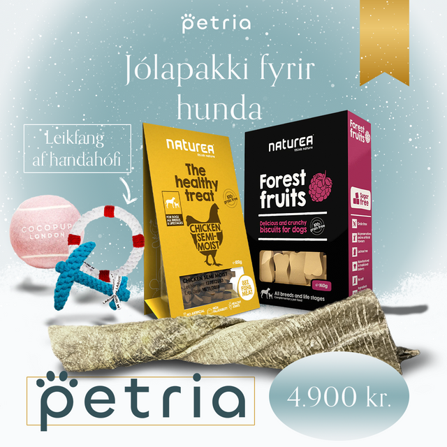 Jólapakki fyrir hunda - Tilbúinn undir tréð