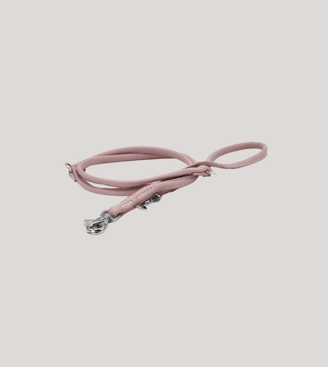 Glæsilegur AMICI taumur