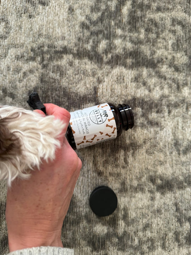 Activated Charcoal - fæðubótarnammi