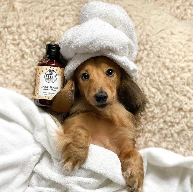 Skínandi hárnæring