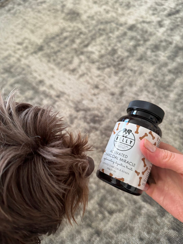 Activated Charcoal - fæðubótarnammi