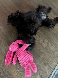 Lúlla fíll - Leikfang fyrir hunda - Velu