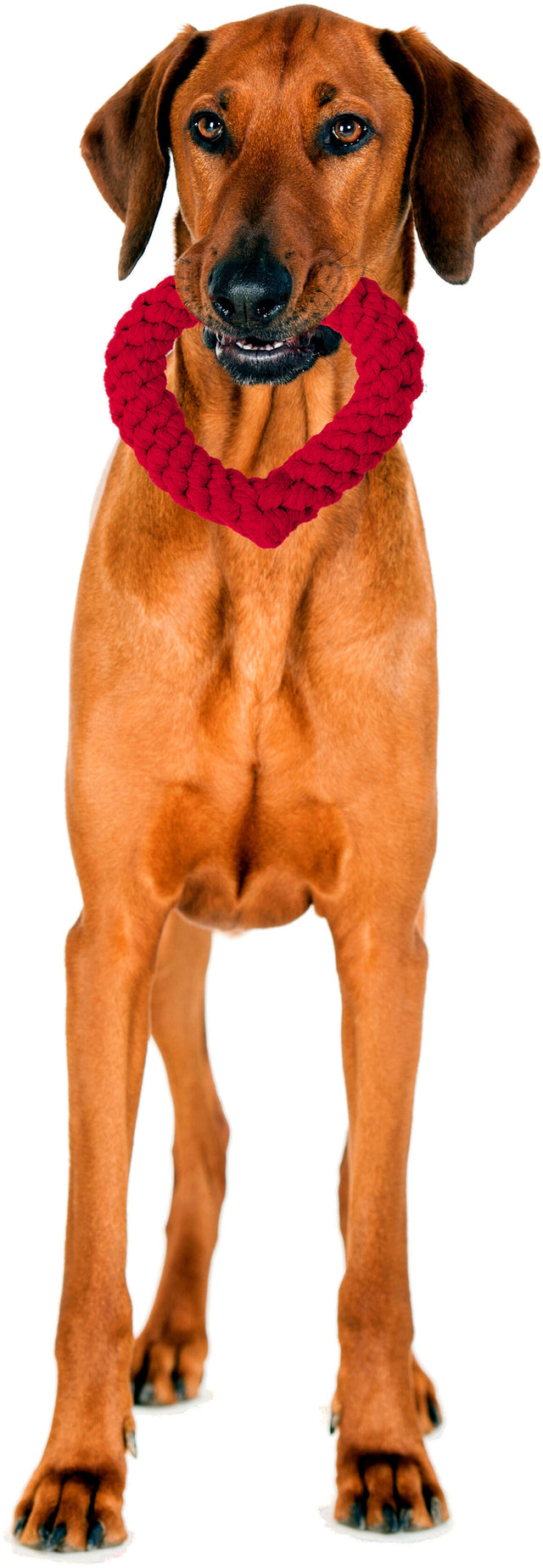 Herdís hjarta - Leikfang fyrir hunda - Velu