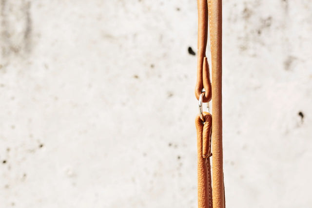 Glæsilegur AMICI taumur