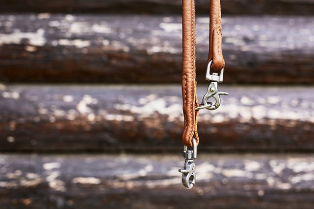 Glæsilegur AMICI taumur