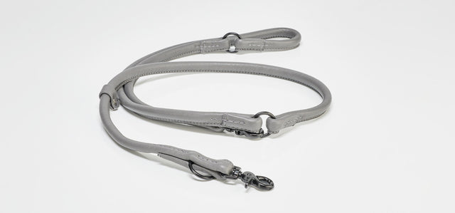 Glæsilegur AMICI taumur