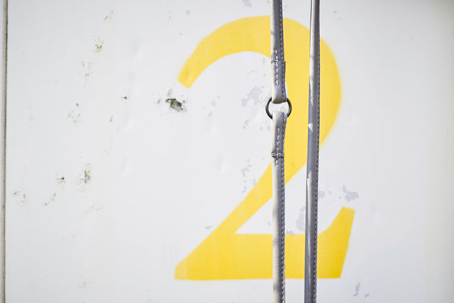 Glæsilegur AMICI taumur