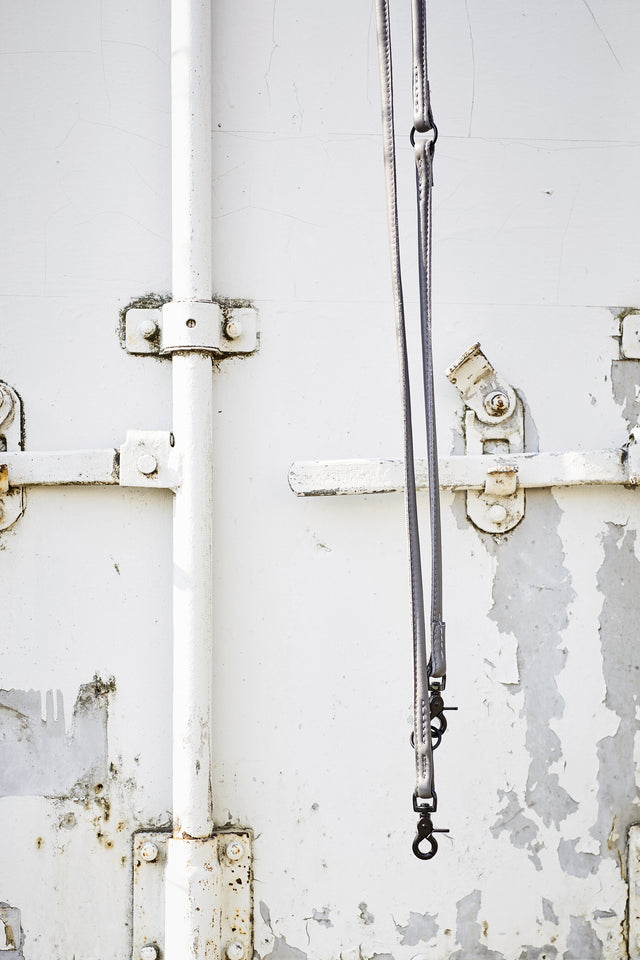 Glæsilegur AMICI taumur