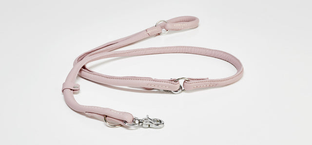 Glæsilegur AMICI taumur