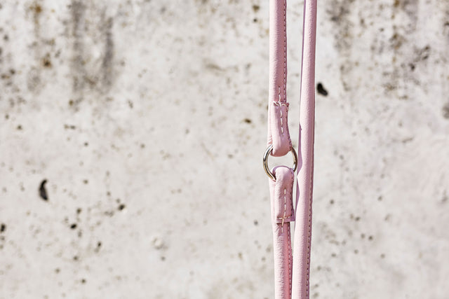 Glæsilegur AMICI taumur