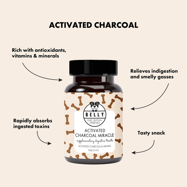 Activated Charcoal - fæðubótarnammi