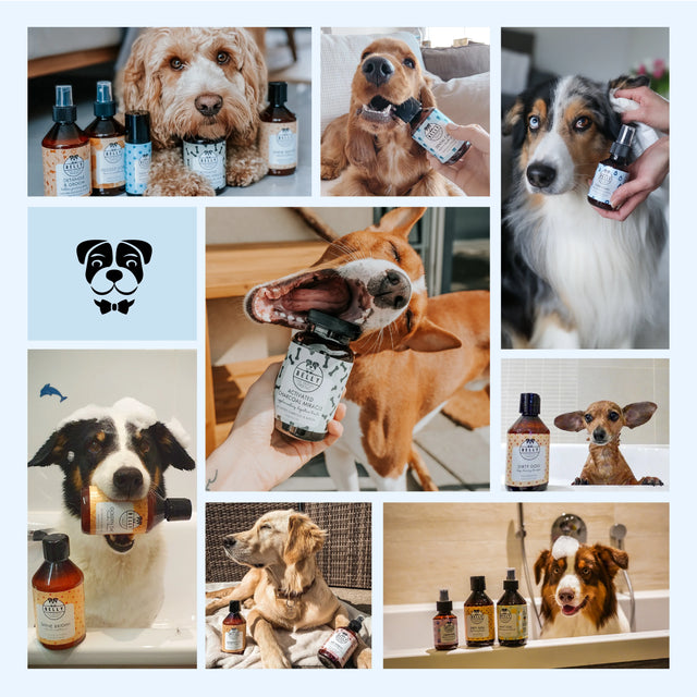 Hrein Eyru - Eyrnadropar