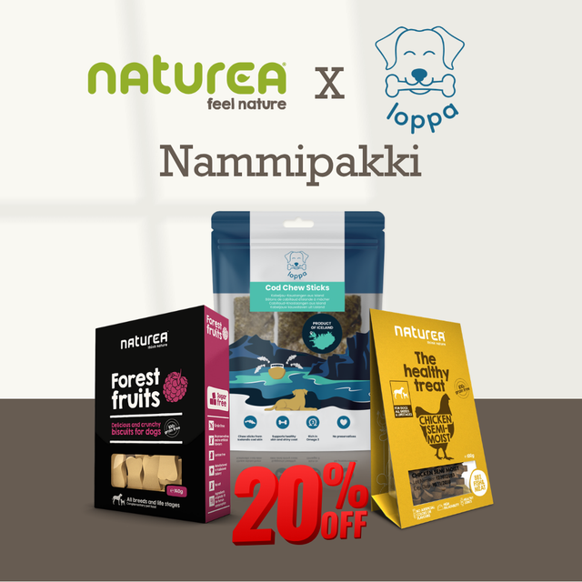 Nammipakki fyrir hunda