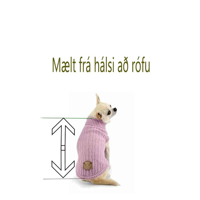 Hundapeysa Cozy Canalé